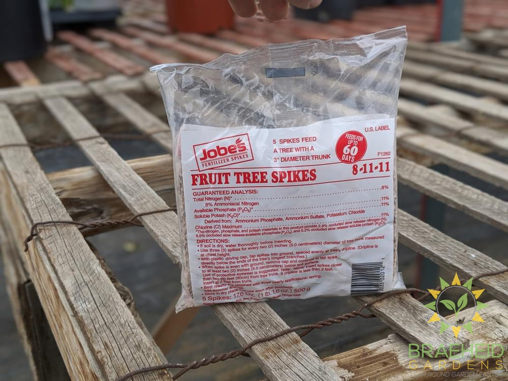 Jobes Fruit Tree Spike