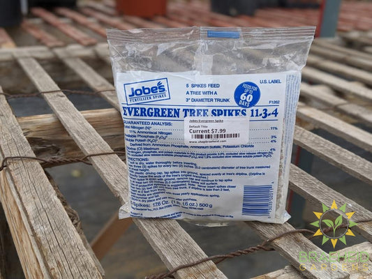 Jobes Evergreen Spike