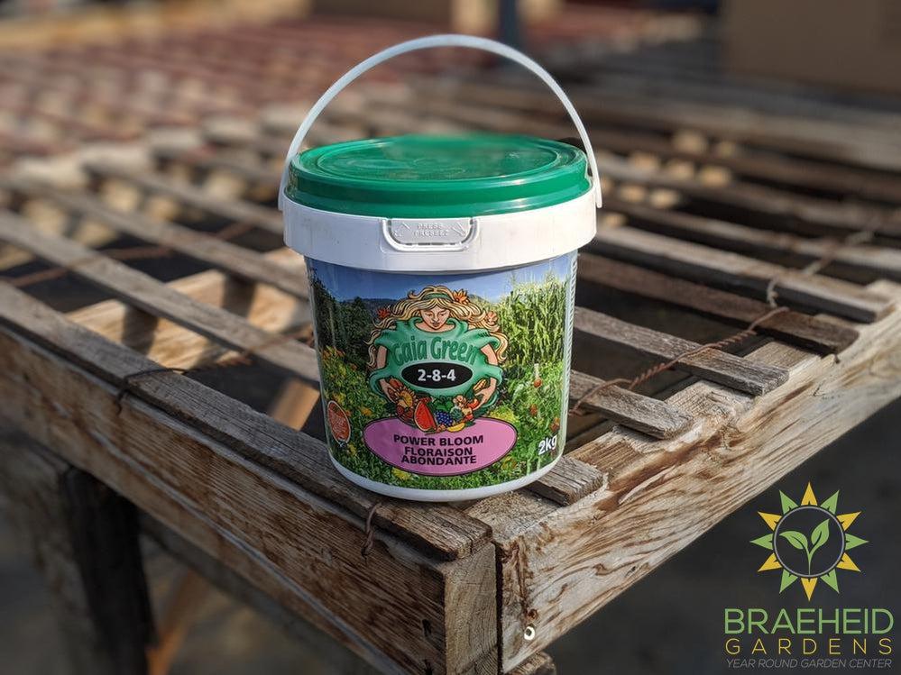 Shop Gaia green powerbloom online 3 sizes