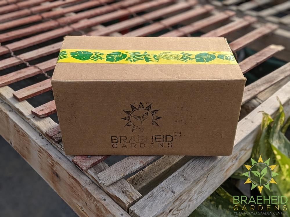 Happy Tape - Packing Tape