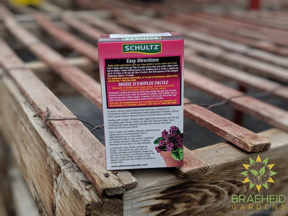Schultz African violet food online