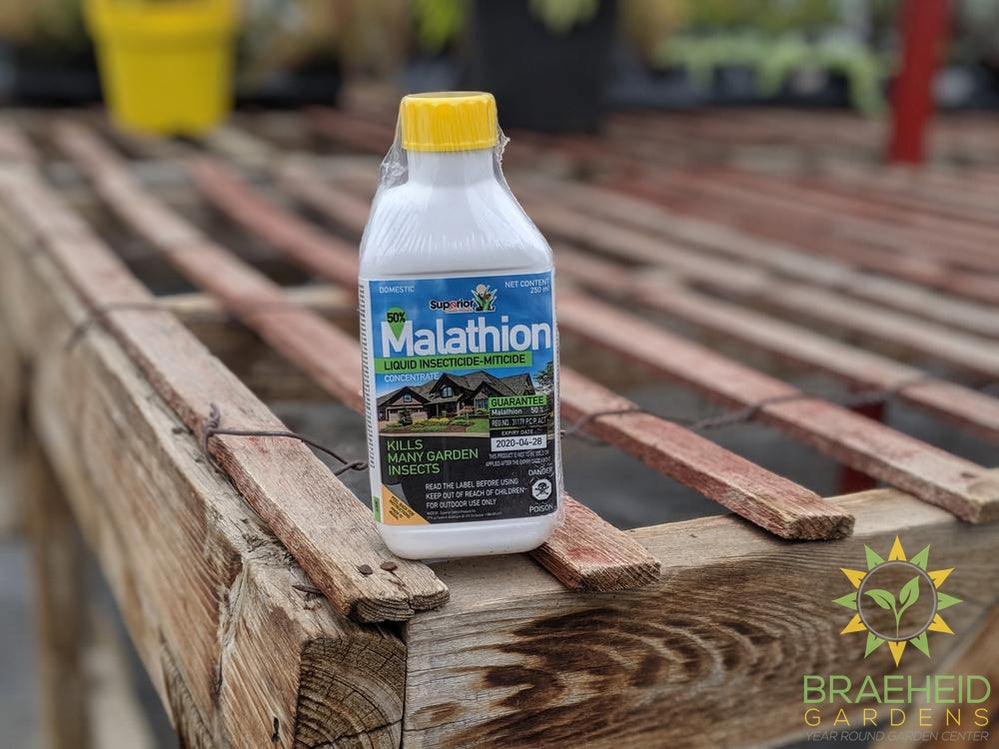 Wilson Malathion Insecticide Concentrate