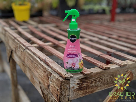 Buy Miracle gro orchid mist online