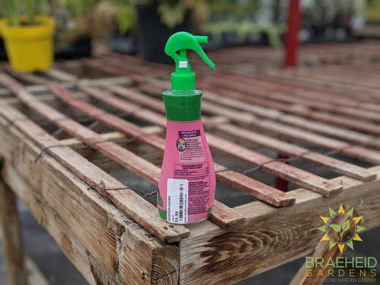 Miracle gro orchid mist online