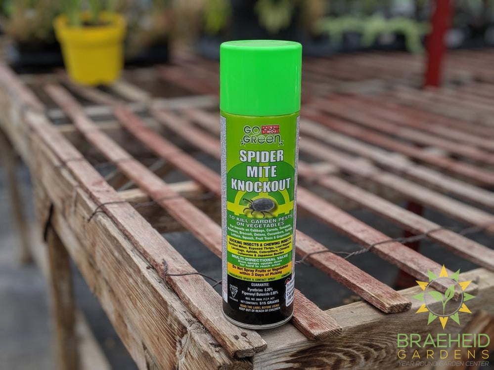 spray for spider mites on plants Kill Spidermites on Contact | Plant Friendly