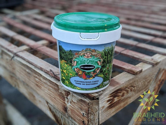Gaia Green Diatomaceous earth online in Canada