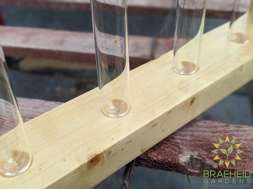 Beaker Propagation Station