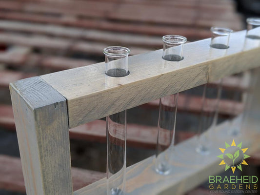 Beaker Propagation Station