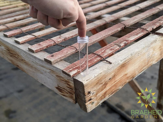 Aquatube - Cuts / Rooting Vial