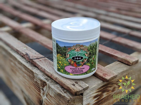 Gaia Green powerbloom small container shop online