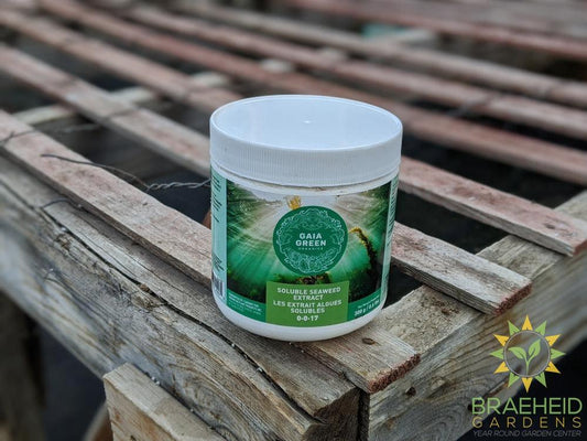 Gaia Green Soluble Seaweed Extract