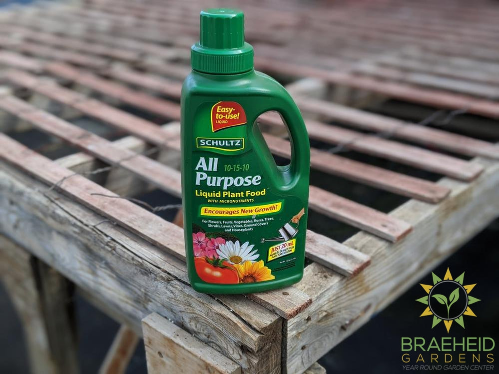 Schultz All Purpose Plant Food (2 sizes)