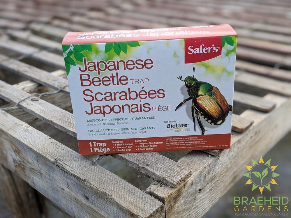 Safer's Japanese Beetle Trap