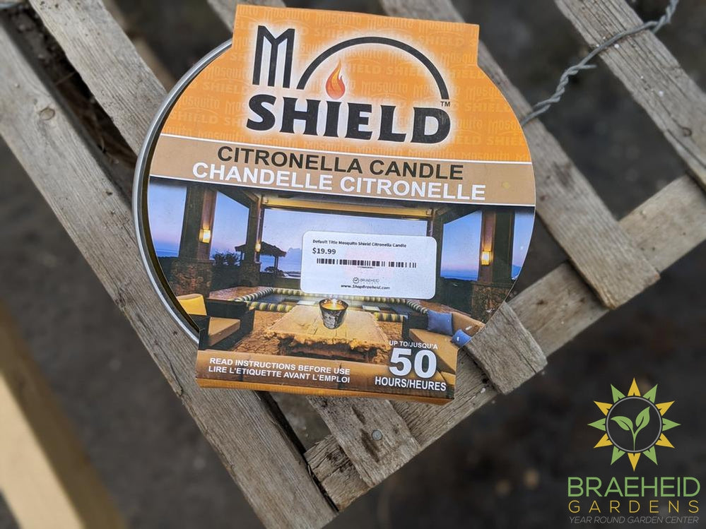 Mosquito Shield Citronella Candle