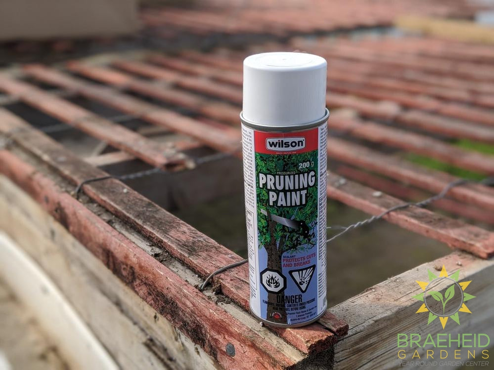 Wilson Pruning Paint