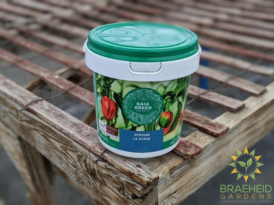 Gaia Green Gypsum