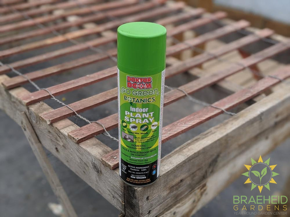 doktor doom indoor plant spray Dr Doom Go Green Botanics Indoor Plant Spray – Braeheid Gardens Ltd