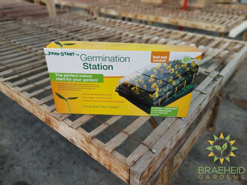 Germination Station - NO SHIP -