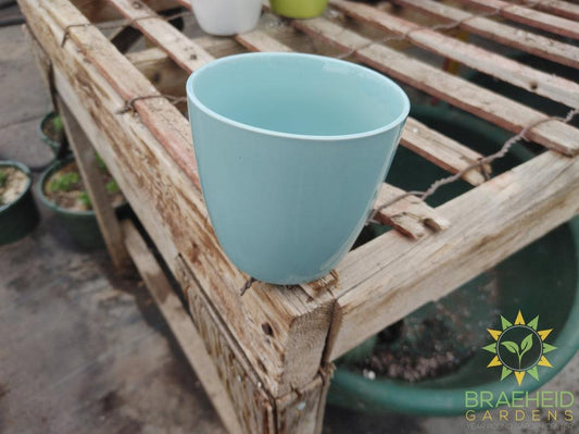 Everyday Ceramic Pottery