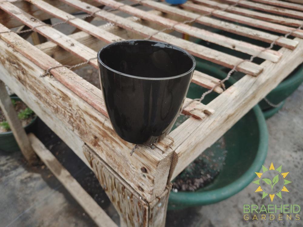 Everyday Ceramic Pottery