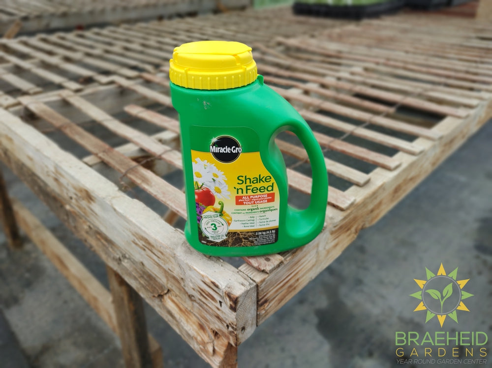 Miracle Gro Shake N' Feed All Purpose