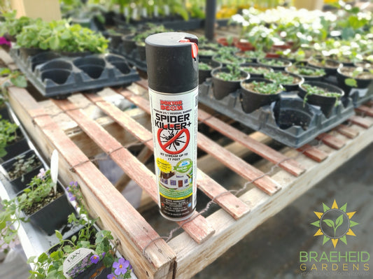 Doktor Doom Spider Killer Residual Knockdown