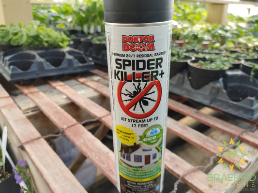 Doktor Doom Spider Killer Residual Knockdown