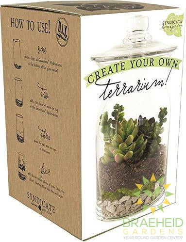 DIY Terrarium Kit