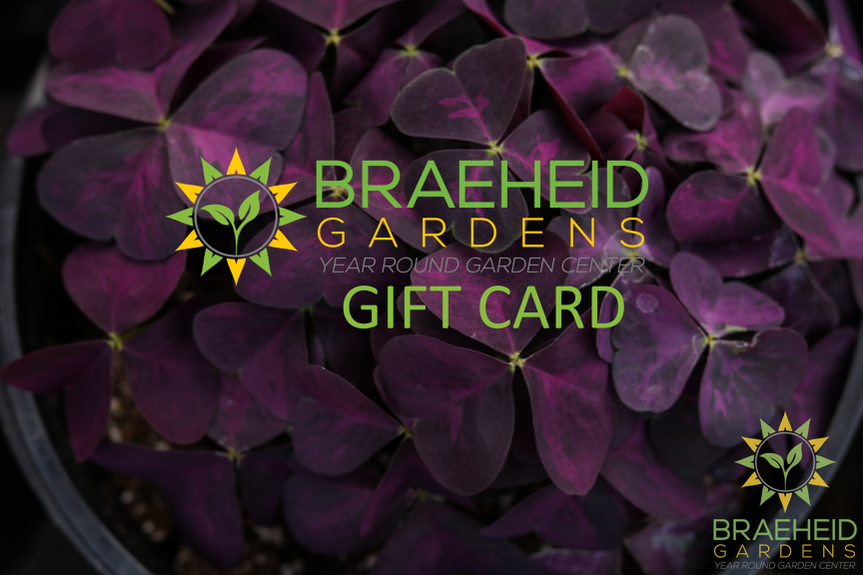 Gift Card (multiple values)