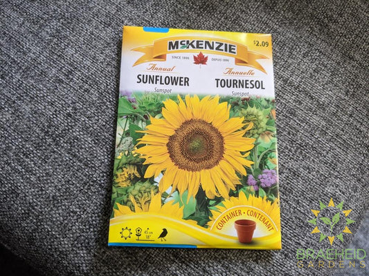 Sunspot Sunflower McKenzie Seed