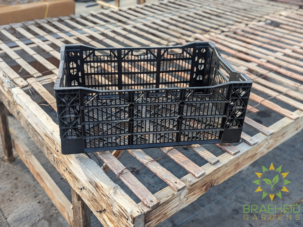 Sturdy Black Crate - No Ship -