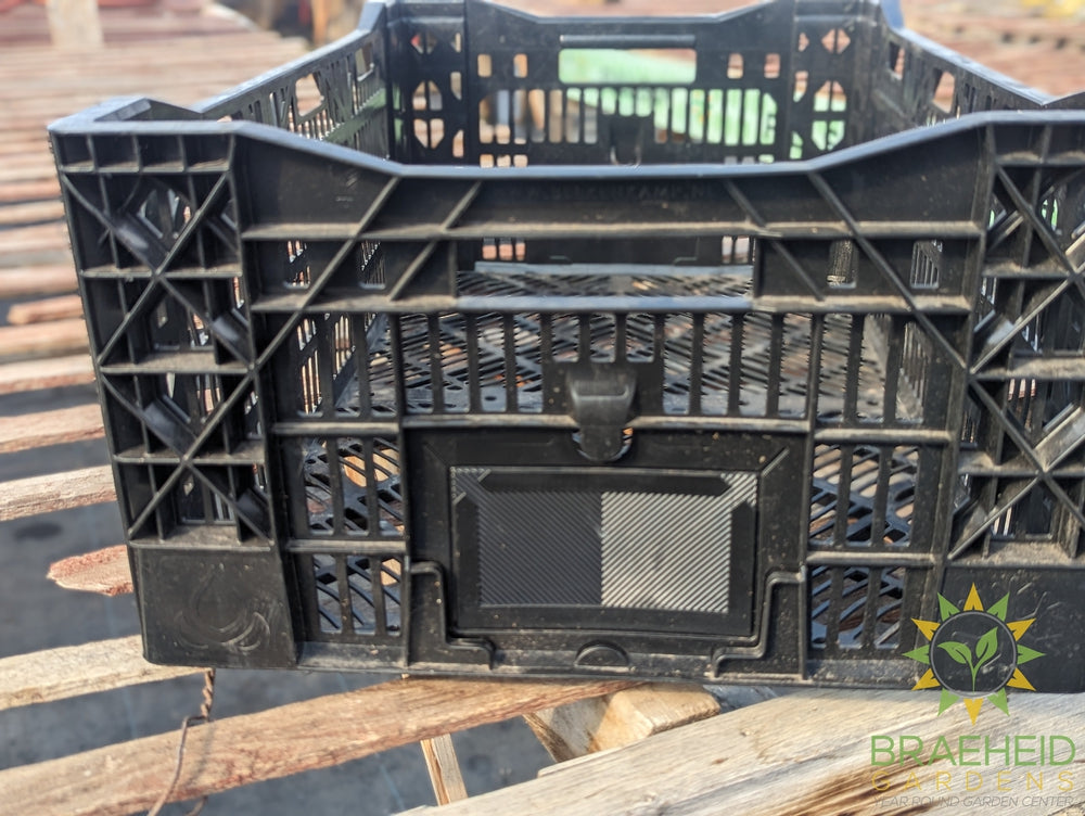 Sturdy Black Crate - No Ship -
