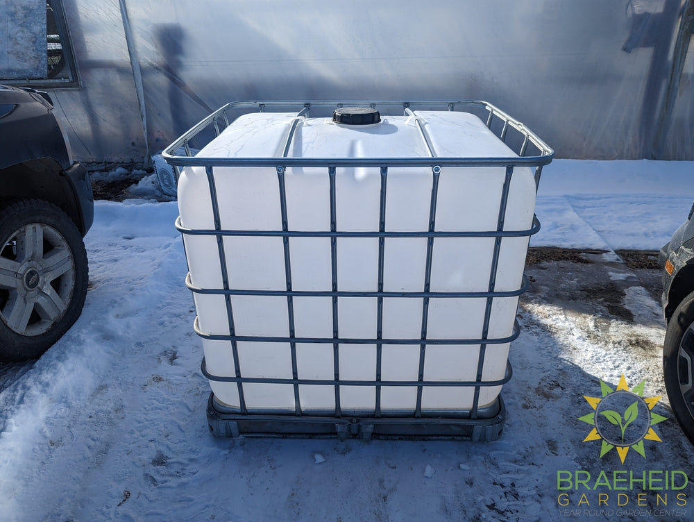 Water Cube - NO SHIP -