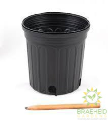 Empty Grower Nursery Pot