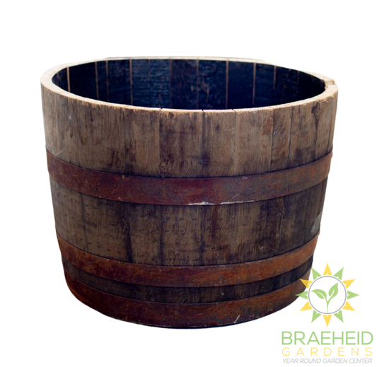Whiskey Oak Barrels - NO SHIP -