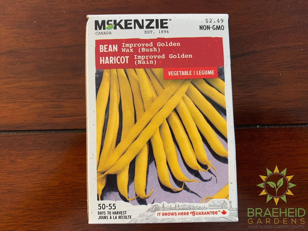 Improved golden Wax (Bush) Bean McKenzie Seed Braeheid Gardens Ltd.
