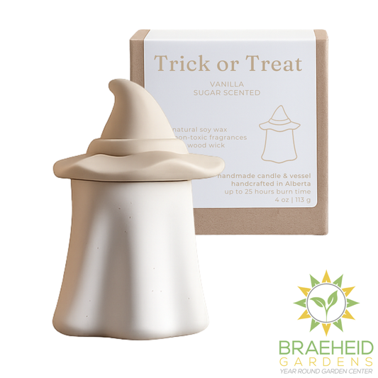 Ghost Soy Candle Trick or Treat Vanilla Sugar | Halloween