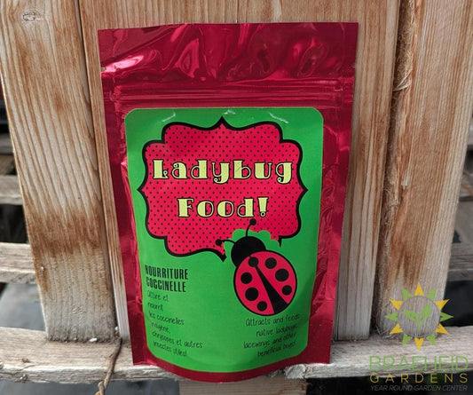 Ladybug Food 3oz