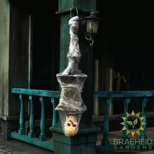 61 Inches Halloween Cocoon Corpse Decoration with Sound