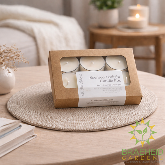 Sunflower Berries Soy Tealight Soy Candle Box | Summer Scent