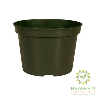 HC 8" KORD AZA GRN 270/CV AZE08000
