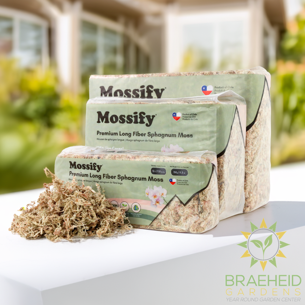 Premium Sphagnum Moss