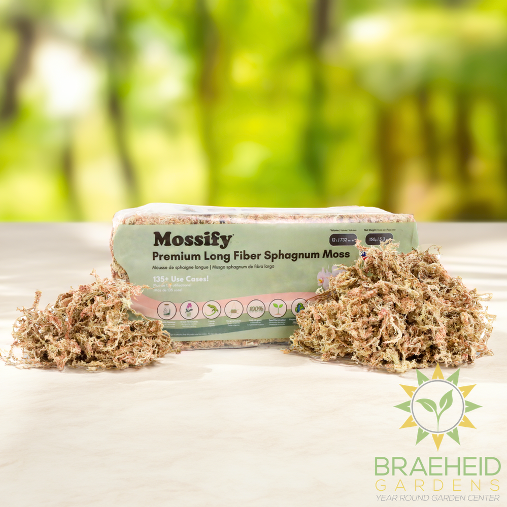 Premium Sphagnum Moss