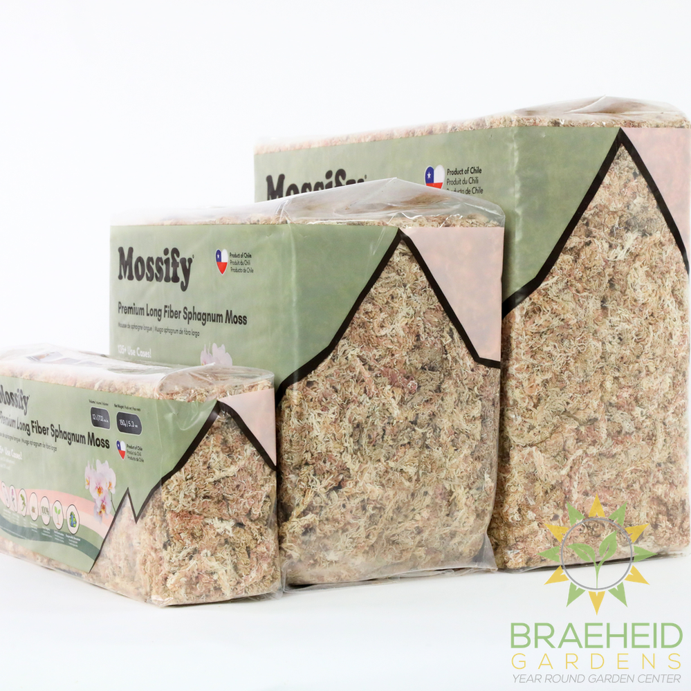 Premium Sphagnum Moss