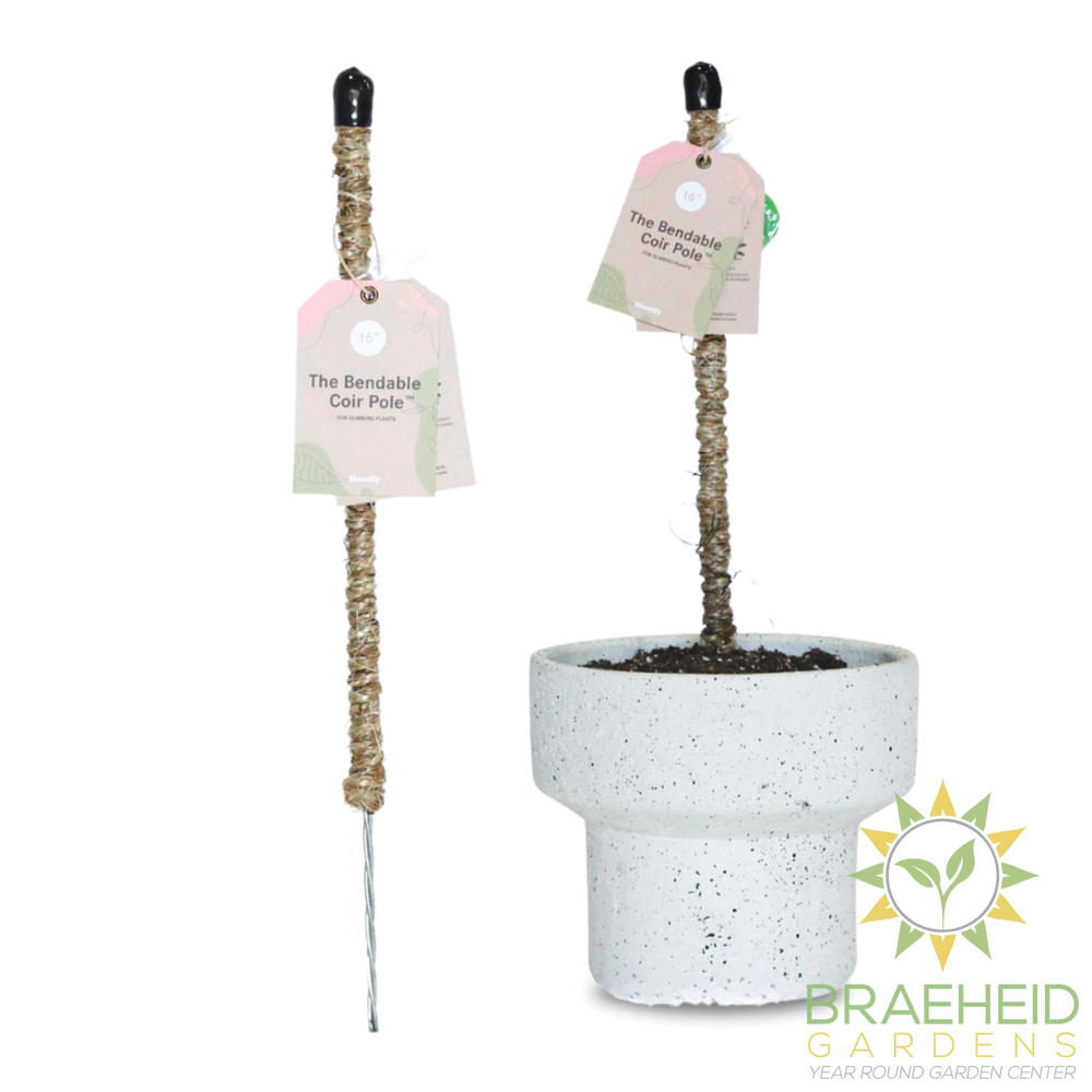 The Original Bendable Coir Pole™ - Best Seller (Tape Included)