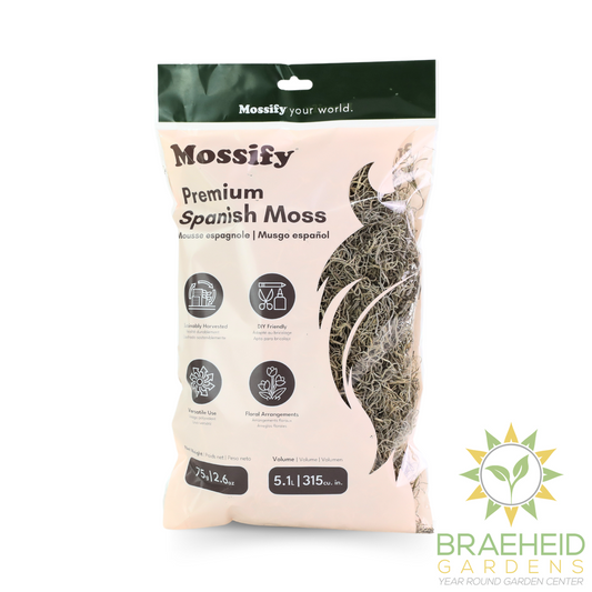 Premium Spanish Moss