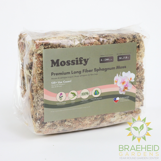 Premium Sphagnum Moss