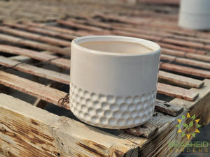 Vanessa Ceramic Pot