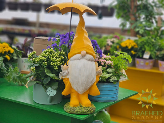 Whimsical Nordic Gnome