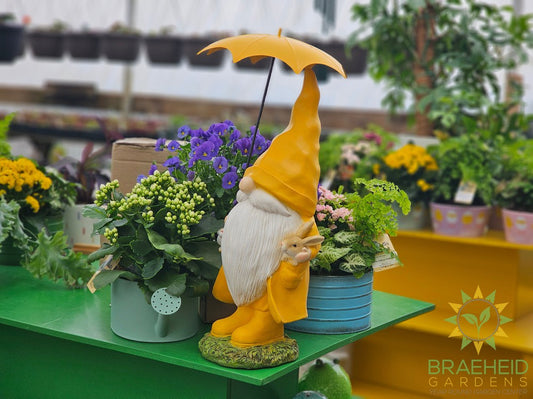 Whimsical Nordic Gnome